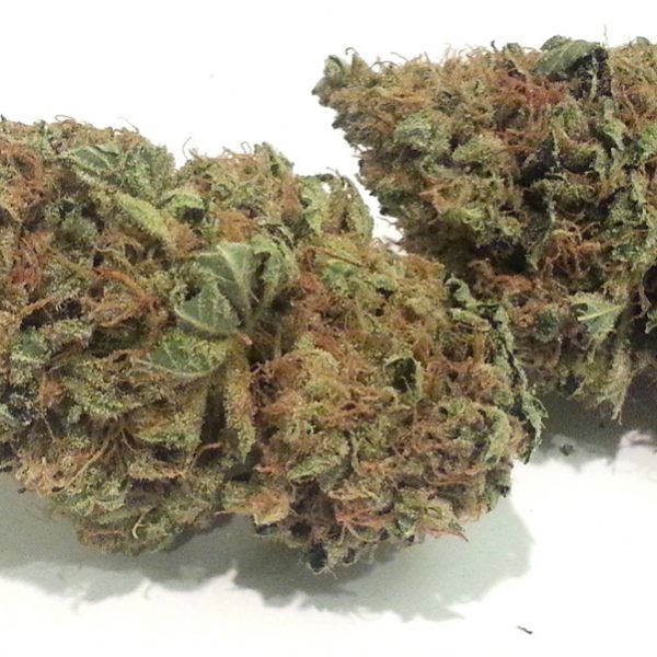 Chemdawg Weed Strain For Sale Online